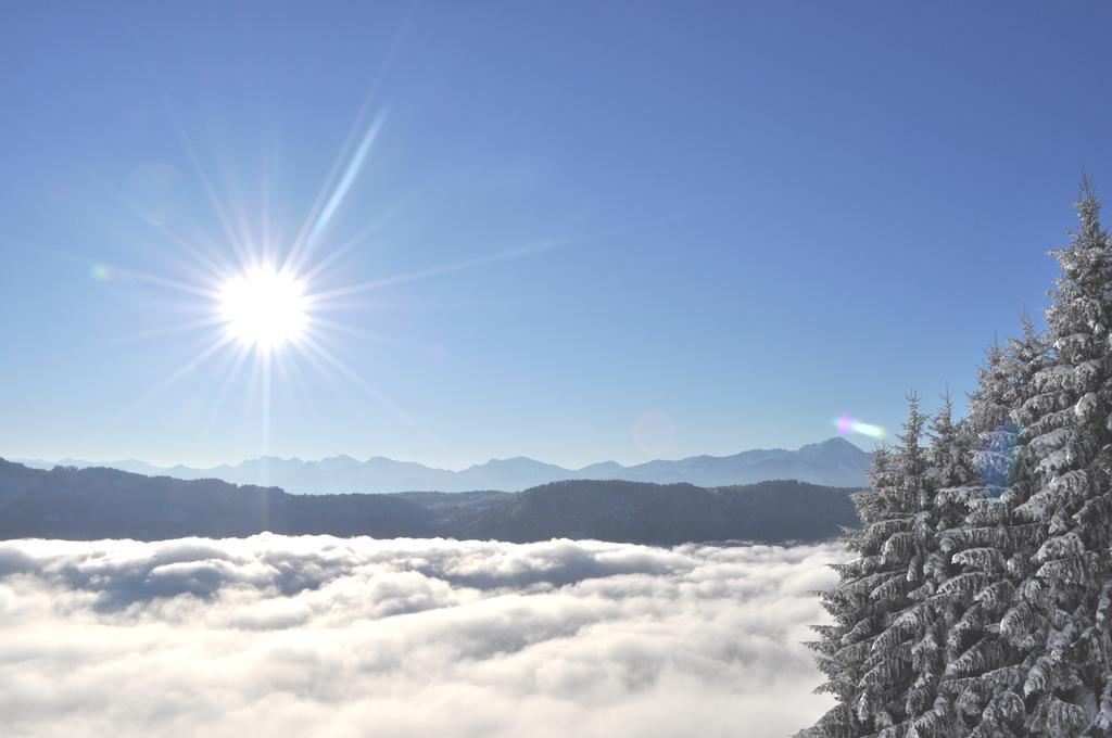 Mathiasl Panorama Ferienwohnungen Bodensdorf Oda fotoğraf